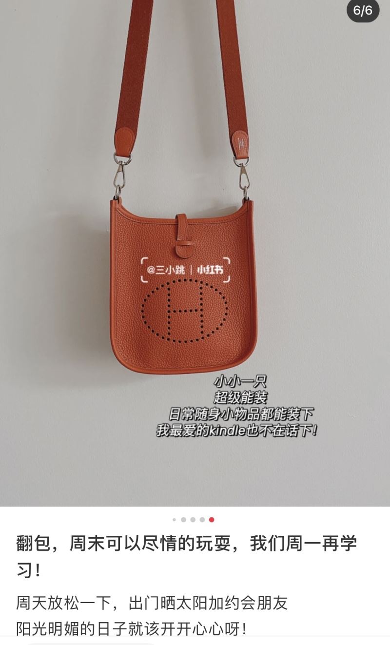 Hermes Evelyn Bags